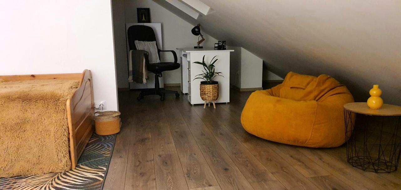 Hoobee Home & Rooftop Terrace Târgu-Mureş Exteriér fotografie