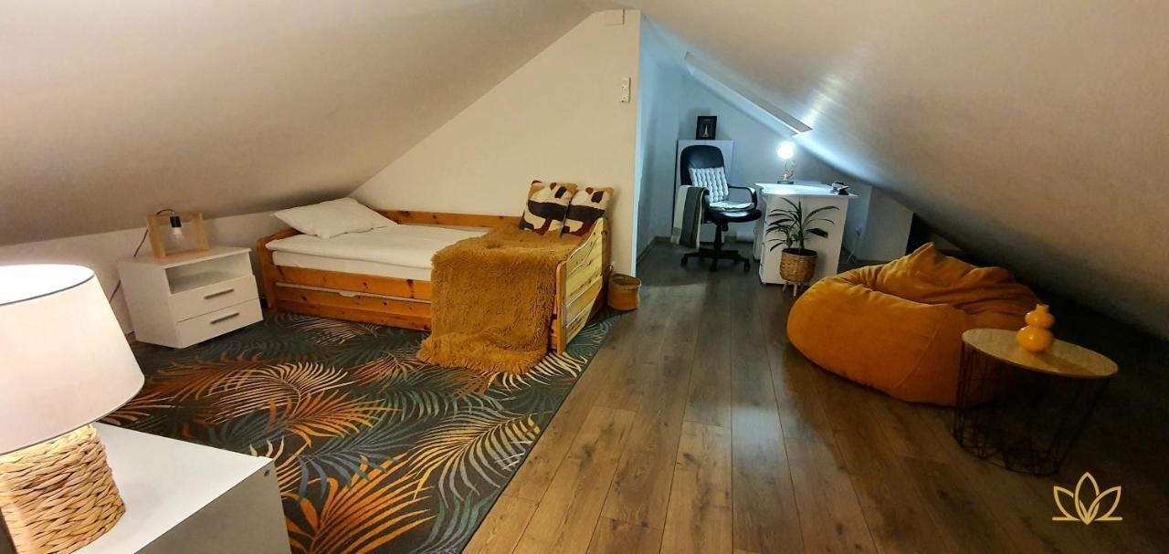 Hoobee Home & Rooftop Terrace Târgu-Mureş Exteriér fotografie